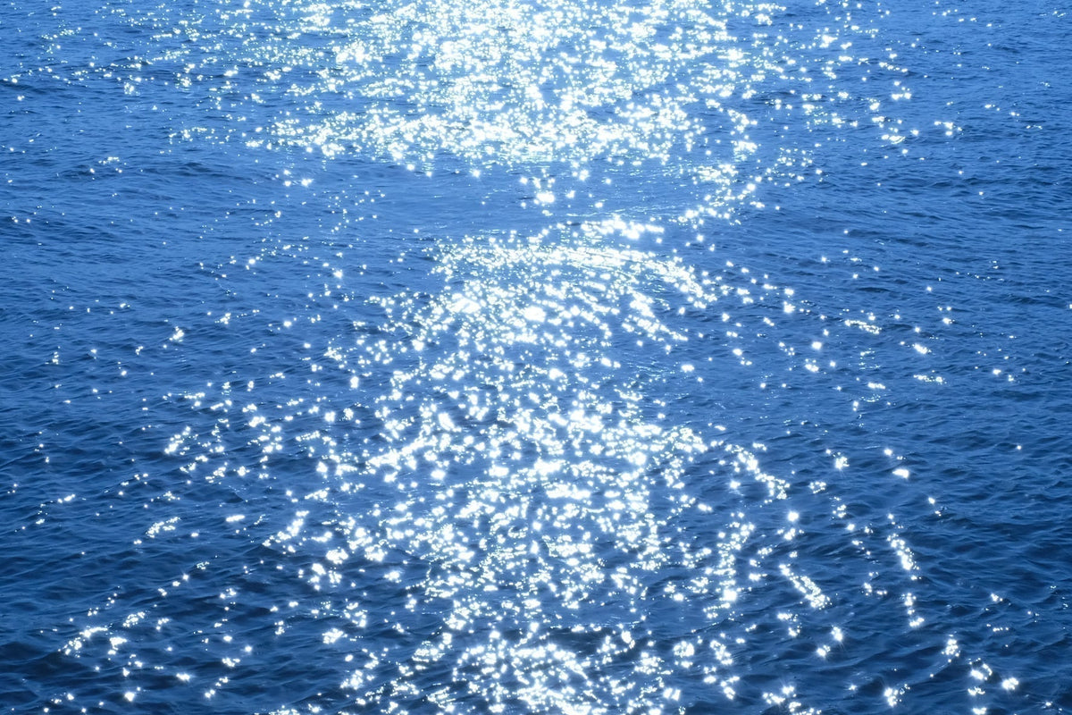 le Ballet Bleu