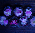 Micro Stamp Fleural