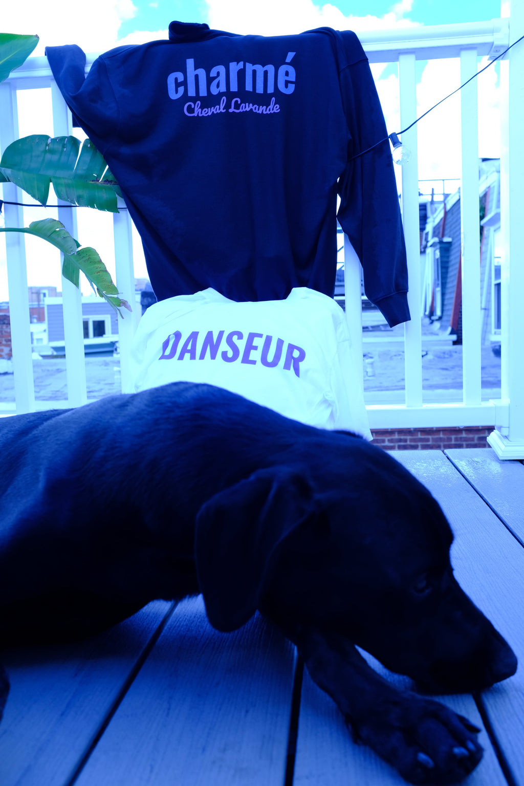 le Danseur Tee