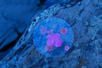 Macro Stamp Fleural
