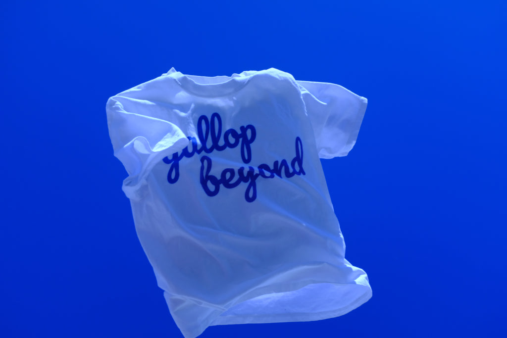 gallop beyond