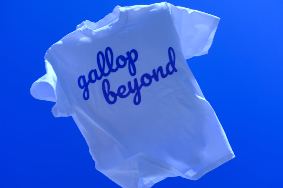 gallop beyond