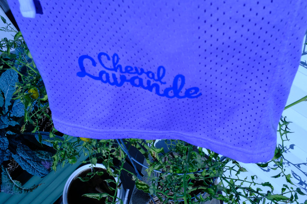 le Shorts Sportif