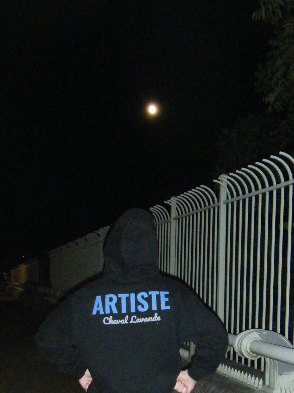 le Artiste