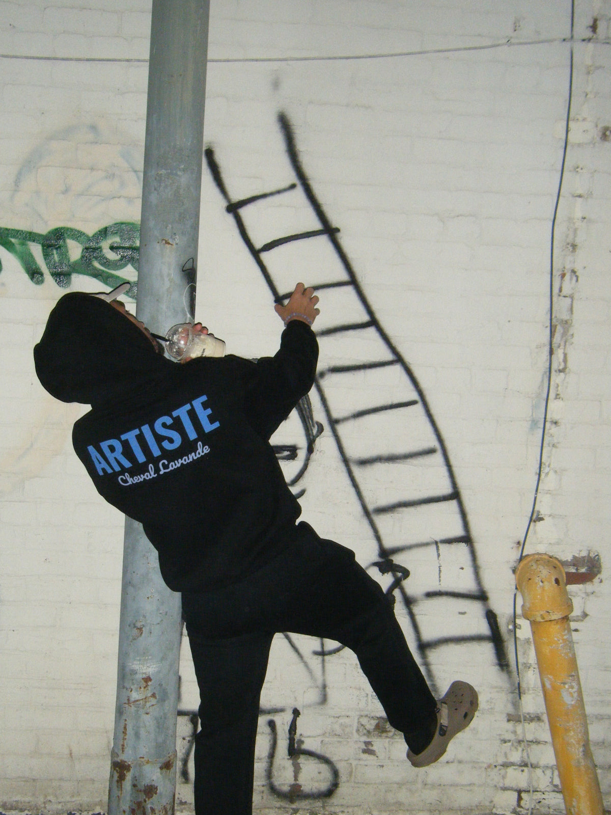 le Artiste